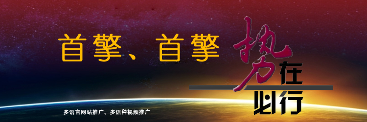 國際市場營銷 國際市場營銷